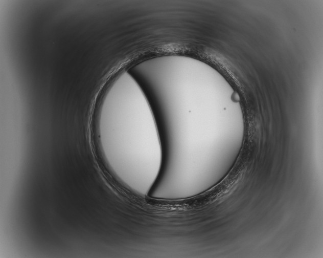 X0000098000443200803241045