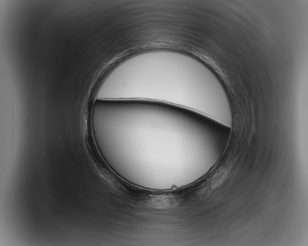 X0000098000446200803241045