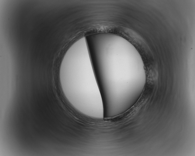 X0000098000456200803241045