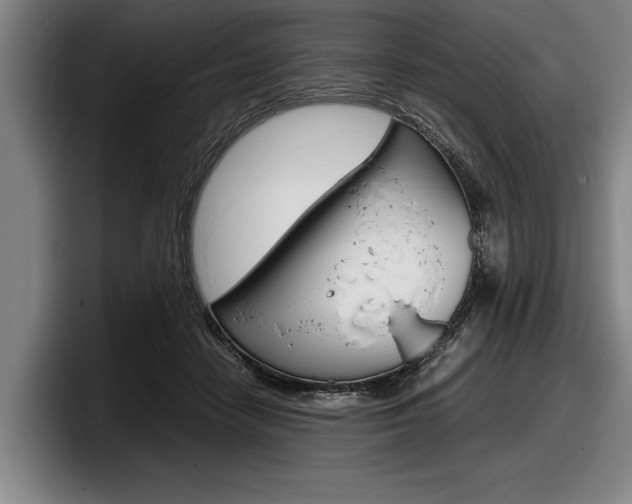 X0000098000458200803241045