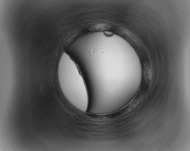 X0000098000459200803241045