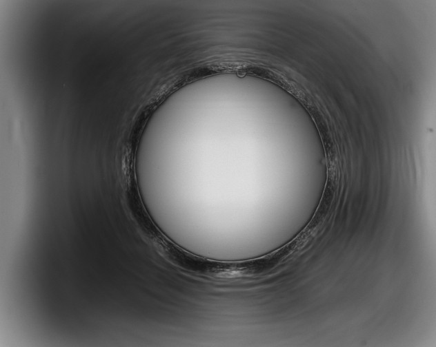 X0000098000460200803241045