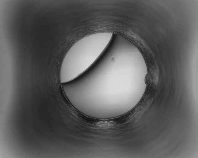 X0000098000465200803241045