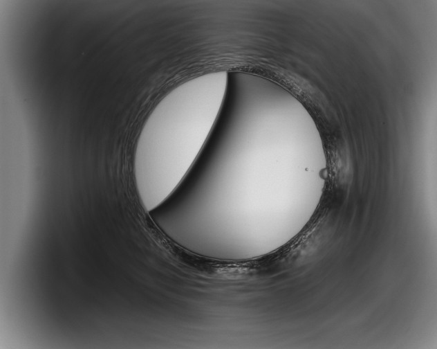 X0000098000470200803241045