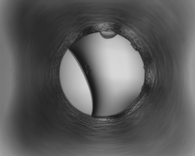 X0000098000473200803241045