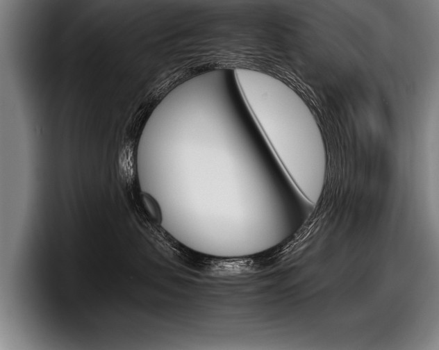 X0000098000479200803241045