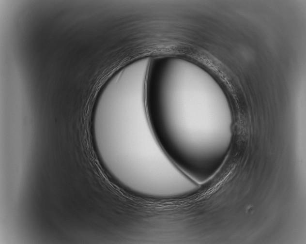 X0000098000481200803241044