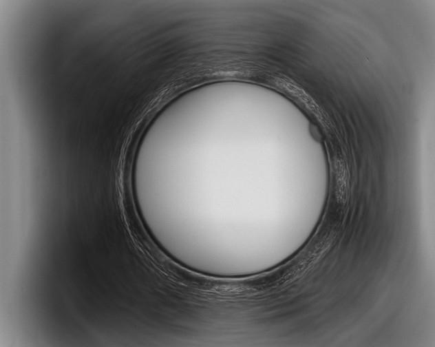 X0000098000482200803241044