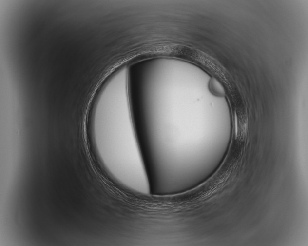 X0000098000483200803241044