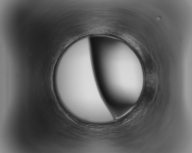 X0000098000485200803241044