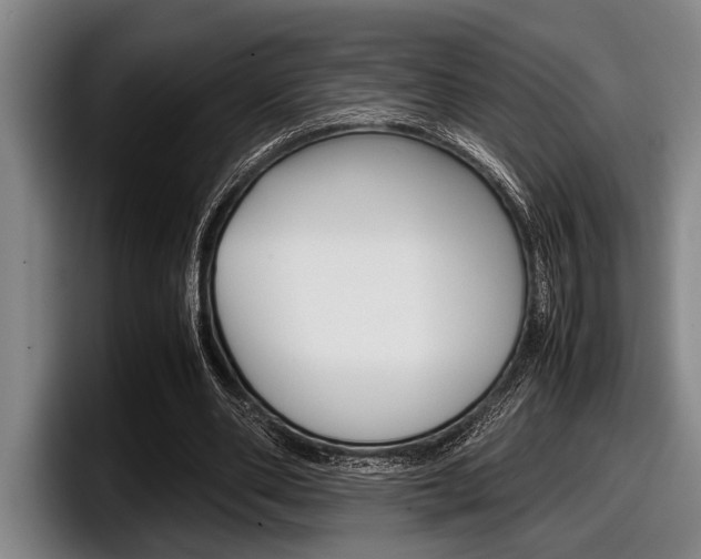 X0000098000486200803241044