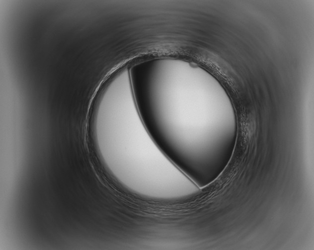 X0000098000488200803241044