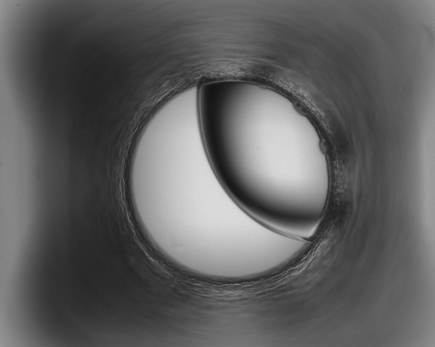 X0000098000489200803241044