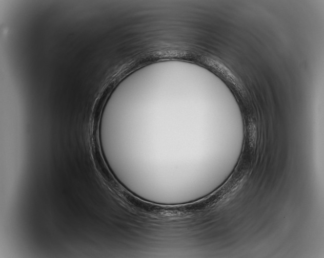 X0000098000490200803241044