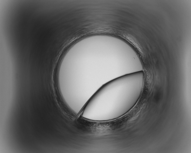 X0000098000491200803241044