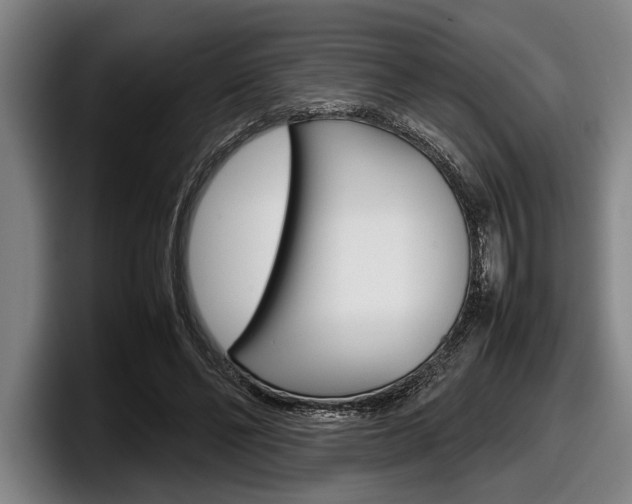 X0000098000494200803241044