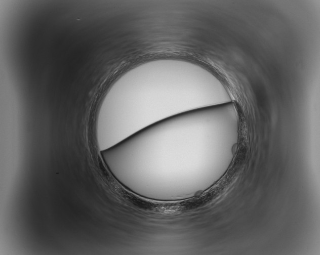 X0000098000495200803241044