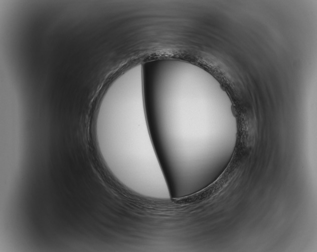 X0000098000496200803241044
