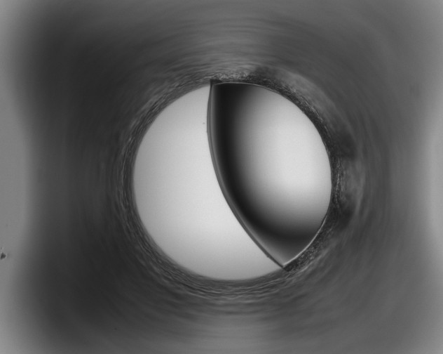 X0000098000501200803241044