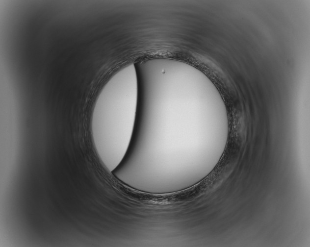 X0000098000502200803241044