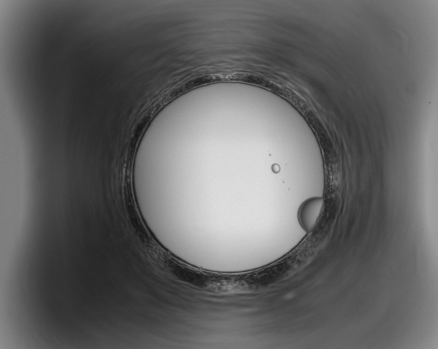 X0000098000503200803241044