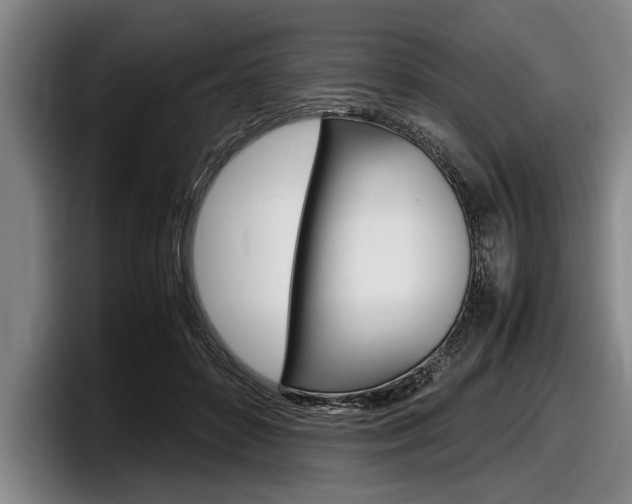 X0000098000504200803241044