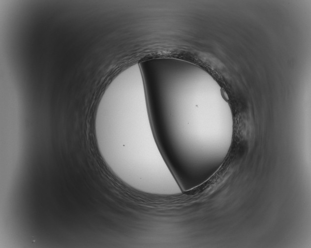 X0000098000509200803241044
