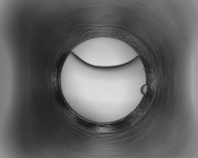 X0000098000510200803241044