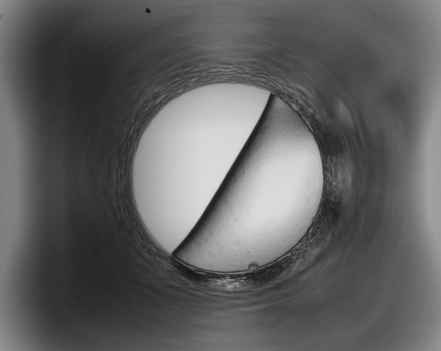 X0000098000511200803241044