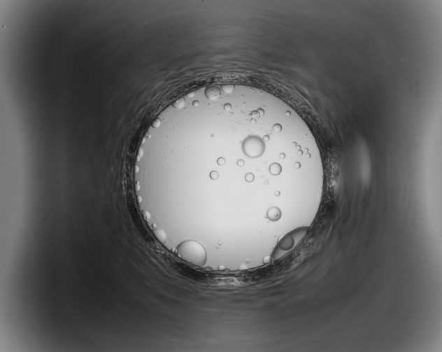 X0000098000519200803241044