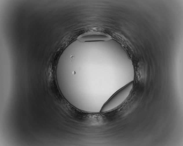 X0000098000520200803241044