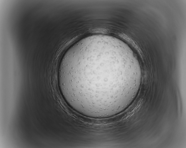 X0000098000529200803241043