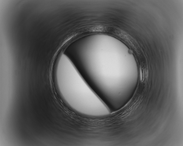X0000098000531200803241043