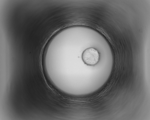 X0000098000534200803241043