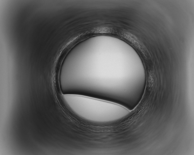 X0000098000535200803241043
