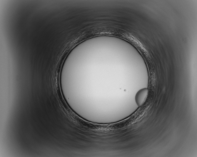X0000098000537200803241043
