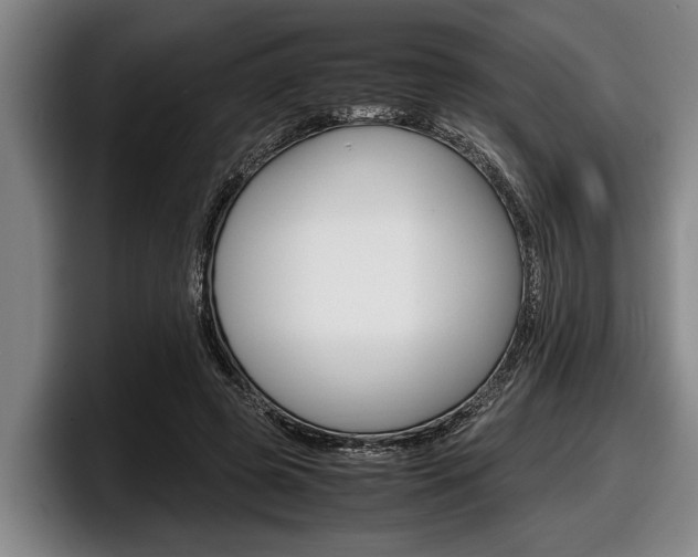 X0000098000545200803241043