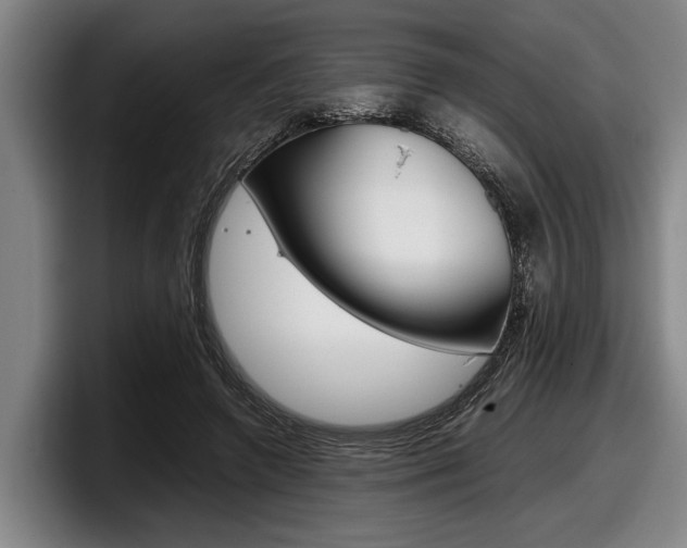 X0000098000546200803241043