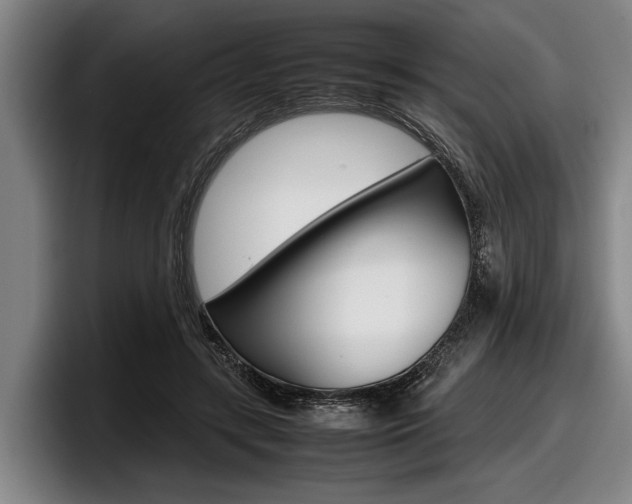 X0000098000547200803241043