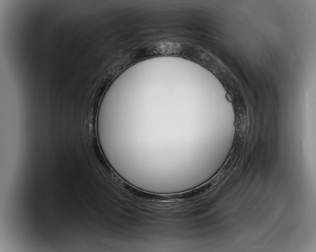 X0000098000553200803241044
