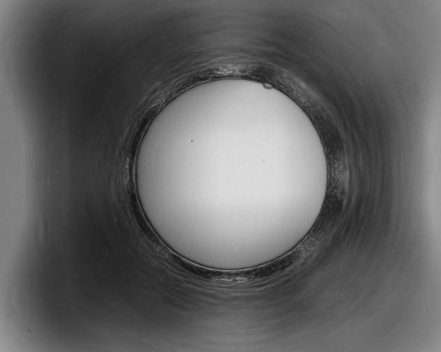 X0000098000554200803241044