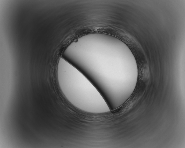 X0000098000558200803241044