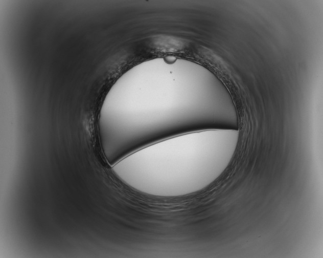 X0000098000559200803241044