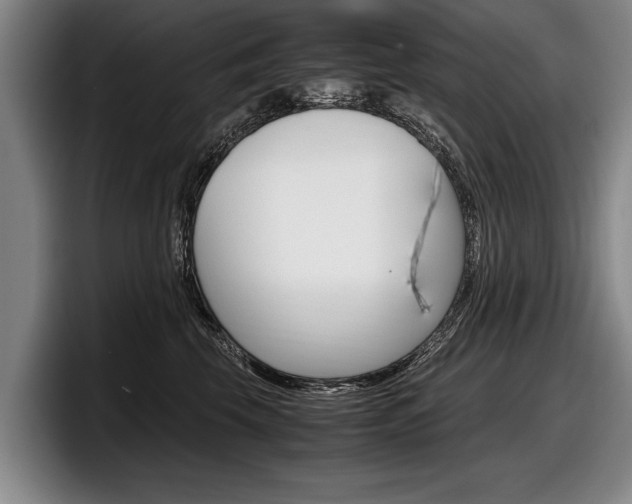 X0000098000569200803241044