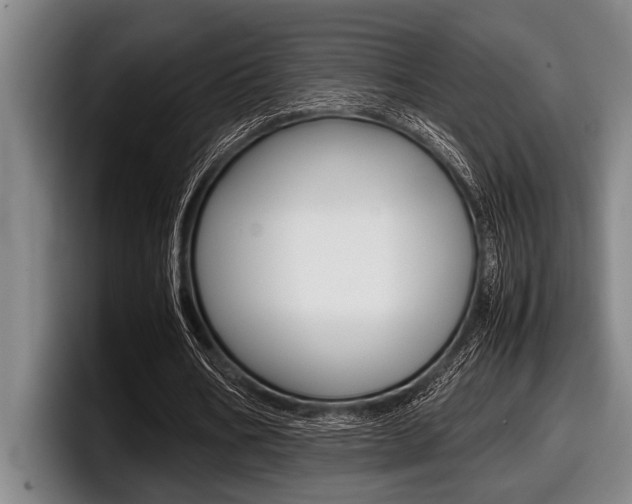 X0000098000578200803241043