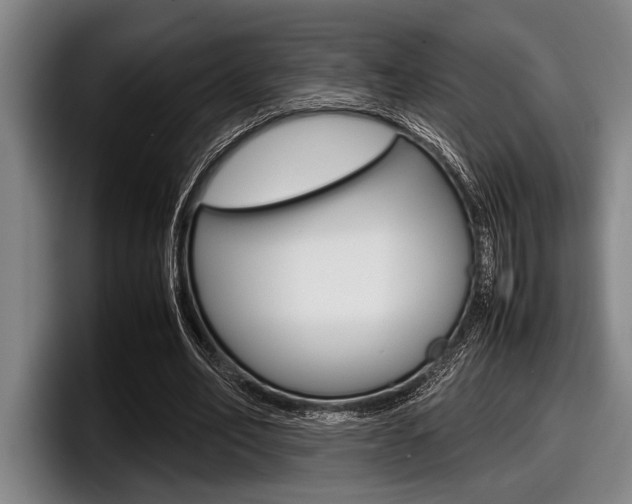 X0000098000582200803241043