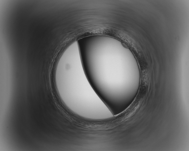 X0000098000589200803241043