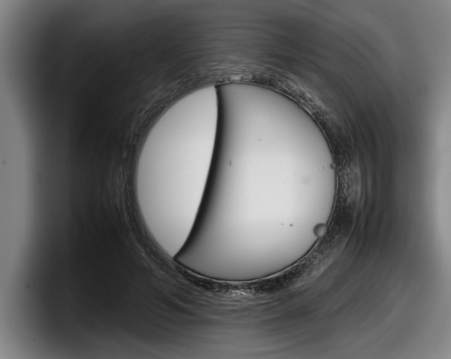 X0000098000594200803241043