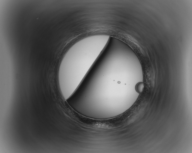 X0000098000596200803241043