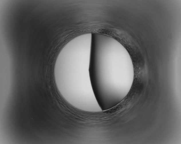 X0000098000599200803241043